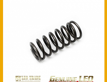 Пружина клапана внутренняя WP10 (LEO Trade) LEO100695A