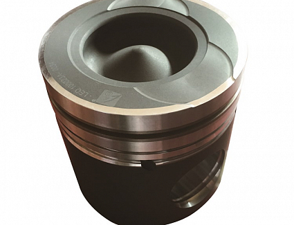 Поршень WP10 (LEO Trade) LEO100023A