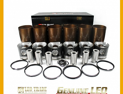 Поршневая группа WD615 Е-2 (3A) (LEO Trade) LEO100018A
