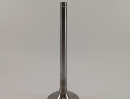 Клапан впускной (1 шт) (D=55мм) WD615 Евро-2, WP10